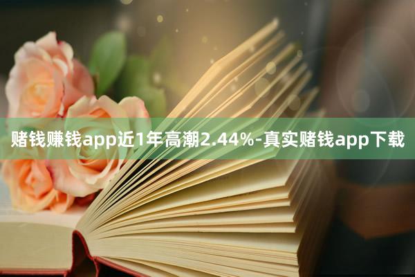 赌钱赚钱app近1年高潮2.44%-真实赌钱app下载