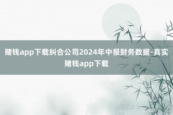 赌钱app下载纠合公司2024年中报财务数据-真实赌钱app下载