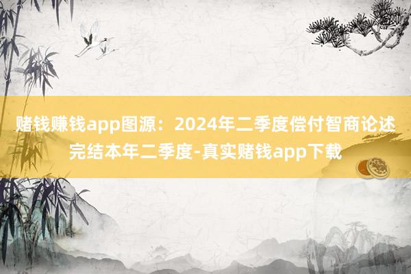 赌钱赚钱app图源：2024年二季度偿付智商论述完结本年二季度-真实赌钱app下载