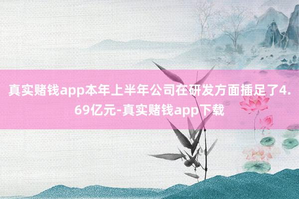 真实赌钱app本年上半年公司在研发方面插足了4.69亿元-真实赌钱app下载